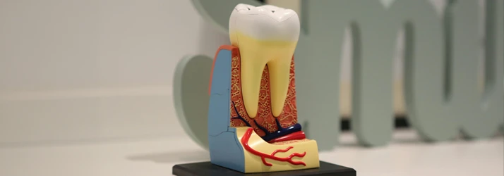 FC – Root Canal Treatments & Emergency Dental Services at George Psaltis, DMD, PC in New York NY